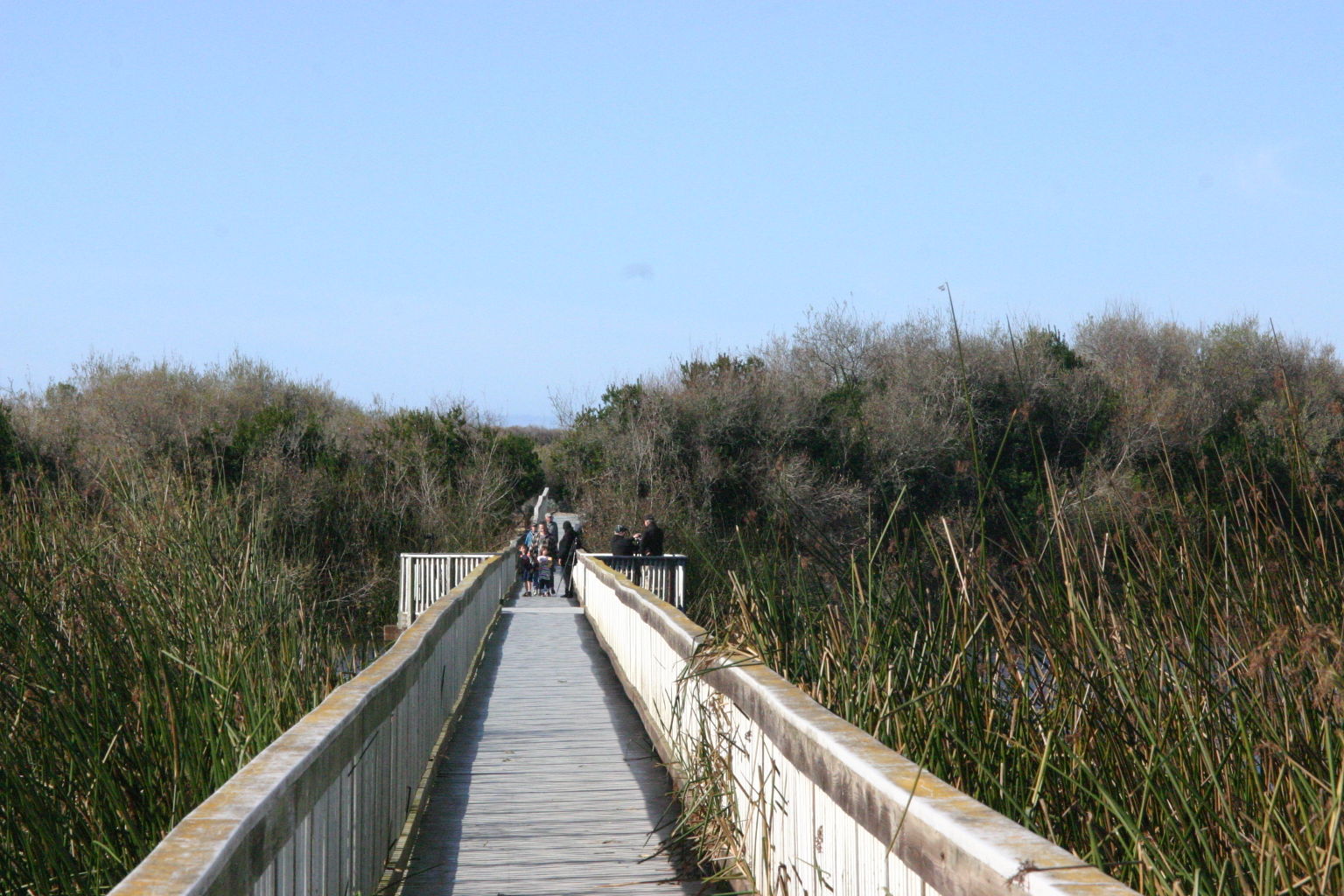 Oso Flaco Boardwalk